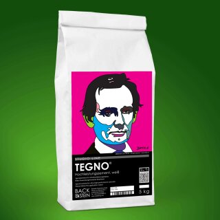 TEGNO® UHPC Spezialzement weiß 5 kg