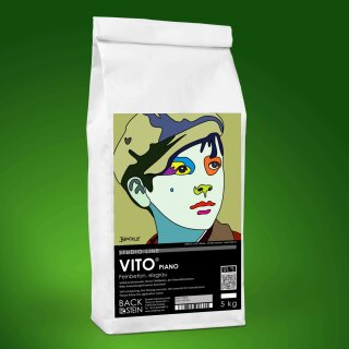 VITO ® PIANO fine concrete, ice grey 5 kg