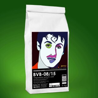 BVB 08/15 simple natural white grouting mortar, 5 kg