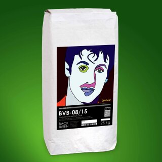 BVB 08/15 simple natural white grouting mortar, 25 kg