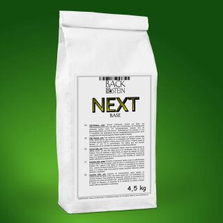 NEXT BASE CSA cement, grey, 4.5 kg