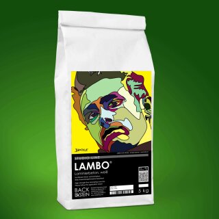 LAMBO &reg; laminating concrete, white 5 kg