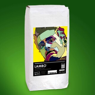 LAMBO ® laminating concrete, white 25 kg