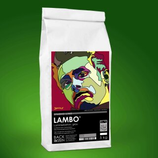 LAMBO ® laminating concrete, grey 5 kg