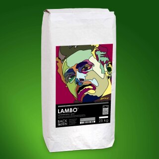 LAMBO ® laminating concrete, grey 25 kg